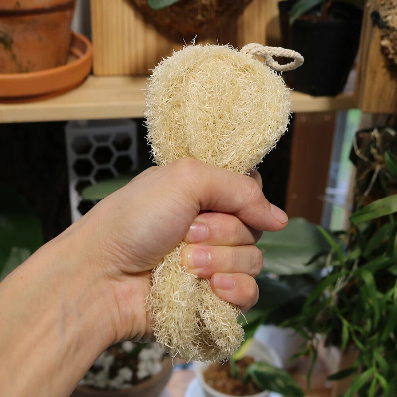 Body Care Loofah