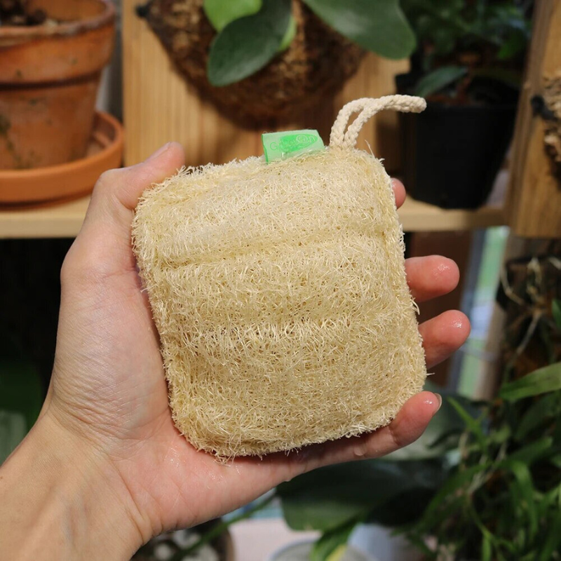 Body Care Loofah